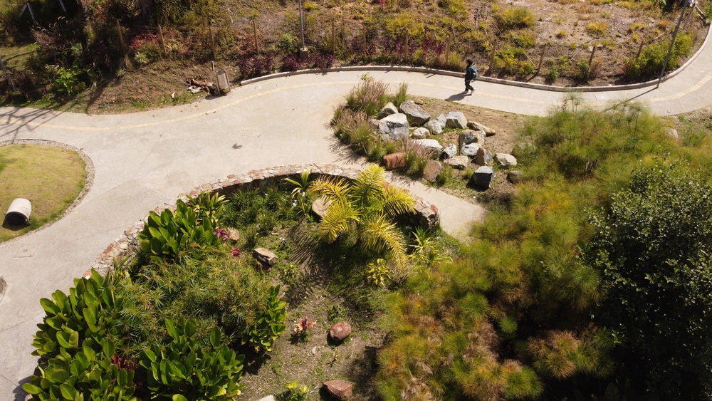 11_537A3B_Connatural_Image 2(Â©Connatural).jpg